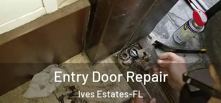 Entry Door Repair Ives Estates-FL