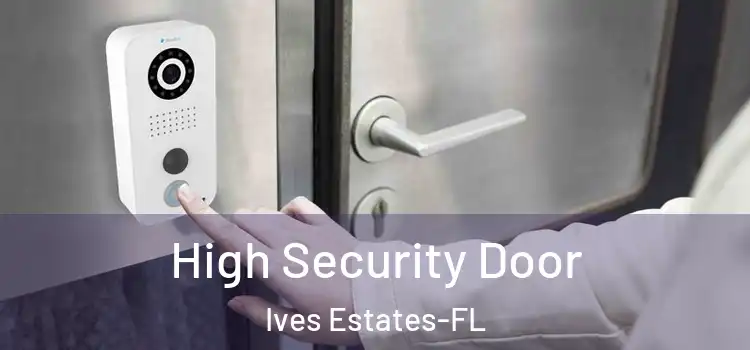  High Security Door Ives Estates-FL