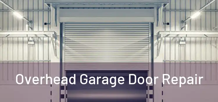 Overhead Garage Door Repair