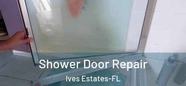 Shower Door Repair Ives Estates-FL