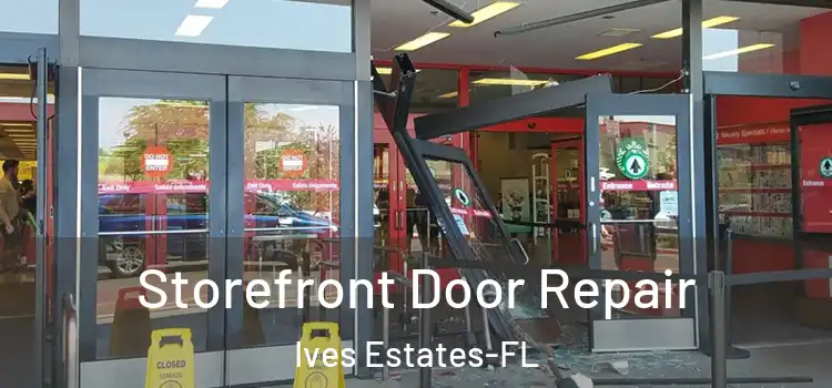 Storefront Door Repair Ives Estates-FL